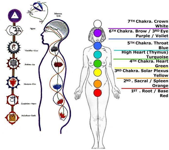 7 Chakras & Their Effects through Seven Chakra Meditation