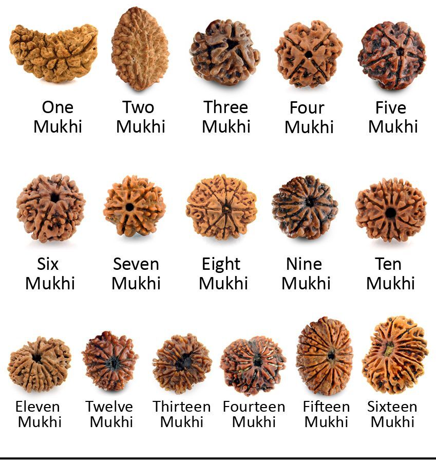 Advantages of Rudraksha Beads