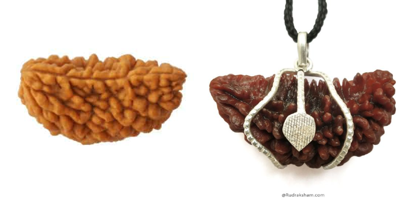 Ek Mukhi Rudraksha