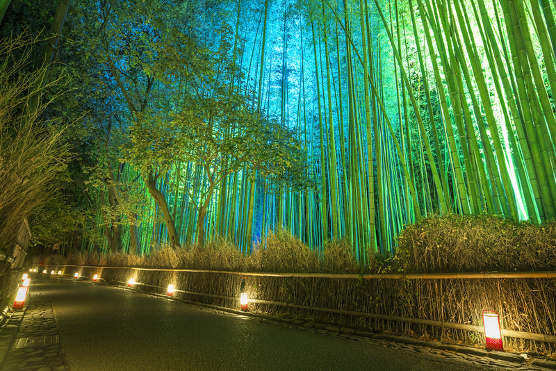 Arashiyama Bamboo forest locations