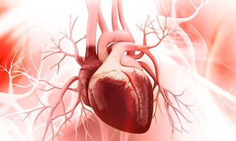 Education needed to avoid sudden cardiac arrest