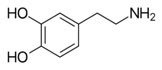 Motivation and Reward Chemical: Dopamine 