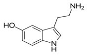 Happiness Hormone: Serotonin 