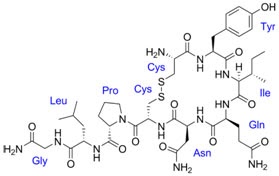 Bonding Hormone: Oxytocin 