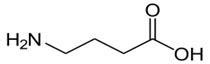 GABA (gamma-aminobutyric acid) 