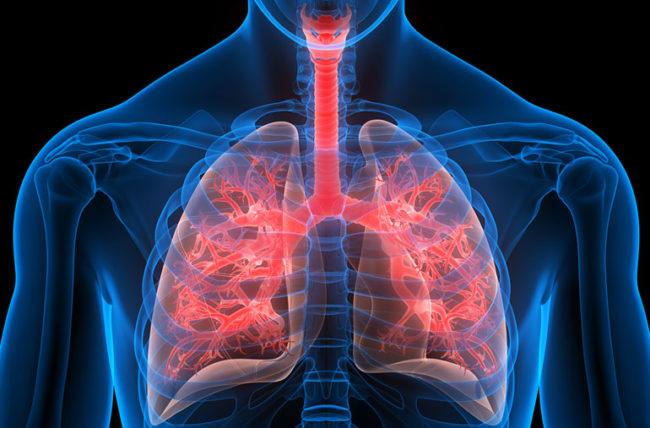 Clean lung helps to stay fit