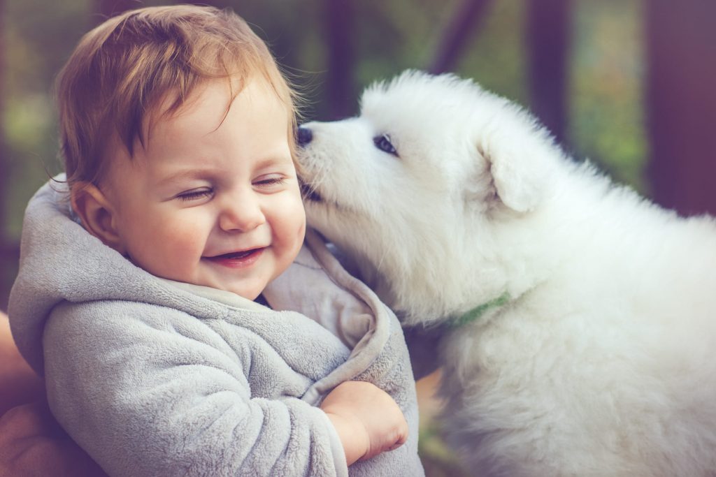 Happy boy with little puppy