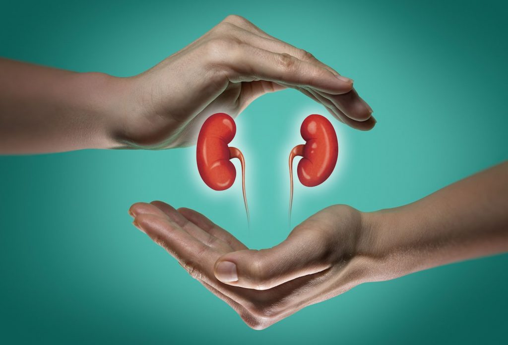 Take Care of Your Kidney