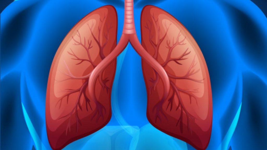Clean lung for healthy life