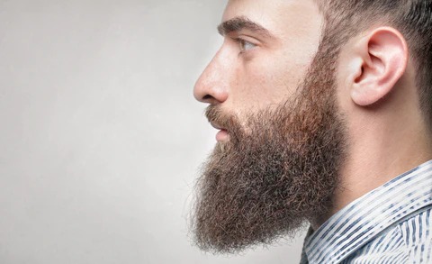 Indians Favourite the ducktail beard