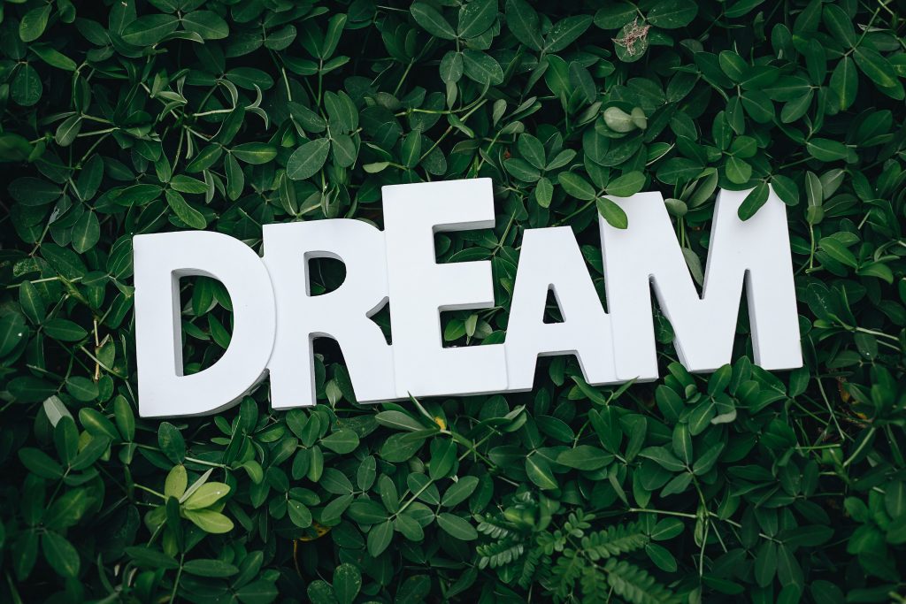 Dream is just a dream