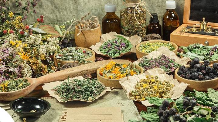 Ayurvedic medicines of Kutki