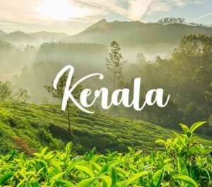Read more about the article Unexplored Backwater Destinations in Kerala, India.