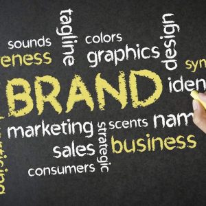 Why Your Business Need Branding? A Complete Guide to Branding