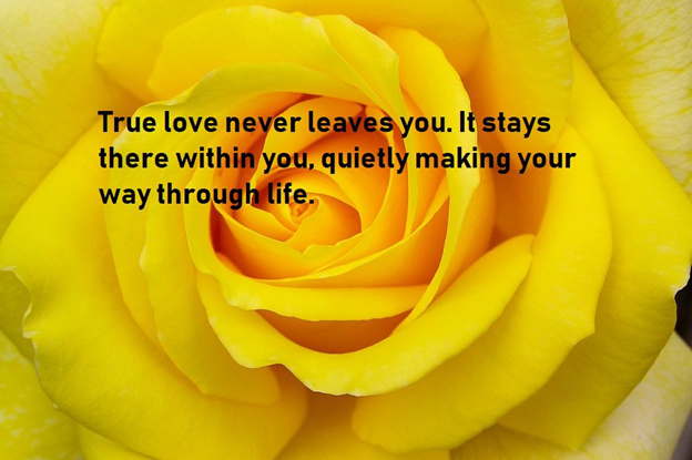 True Love - Quote