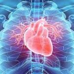 Know All About Sudden Cardiac Arrest Even In Seemingly Fit People.