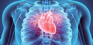 Read more about the article Know All About Sudden Cardiac Arrest Even In Seemingly Fit People.