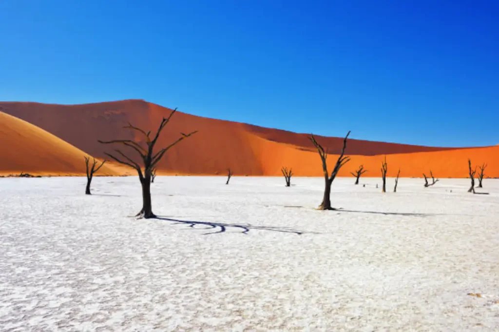 Namibia a beautiful exotic spot