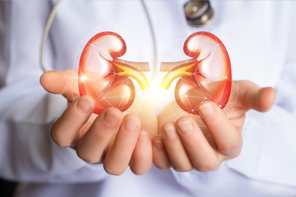 Kidney diagnosis and treatment