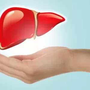 Ayurveda Teaches How To Love Your Liver And Stay Healthy