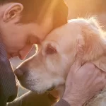 Why Dog Is Undoubtedly Man’s Best Friend Under Every Situation