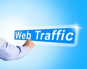 Monitor your website traffic