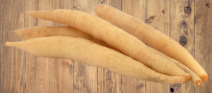 Shatavari benefits and uses