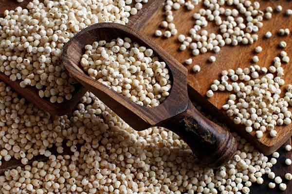 sorghum is good for health