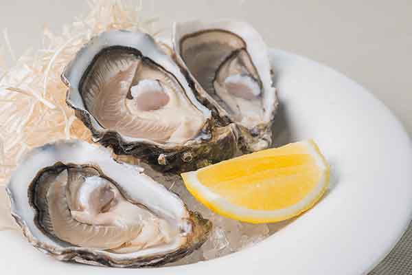 oysters rich source of Zinc