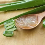 The Healing Power of Aloe Vera: Know its Medicinal Properties and Modern Applications