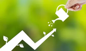 Potential business groeth strategy