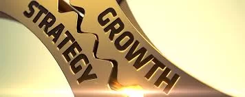 Business growth strategy